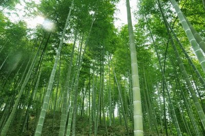 山東優儀測控設備有限公司成立